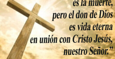 ¿Por qué se llama a Jesús Salvador? ¿Por qué se llama a Jesús Salvador?