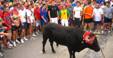¿Por qué se llama a la fiesta taurina torico? ¿Por qué se llama a la fiesta taurina torico?