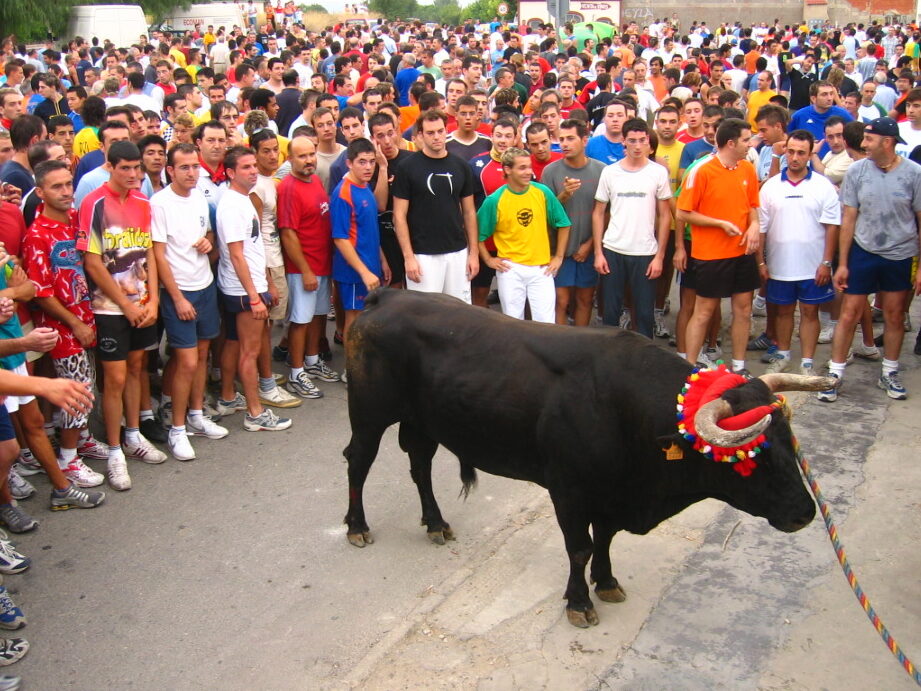 ¿Por qué se llama a la fiesta taurina torico? ¿Por qué se llama a la fiesta taurina torico?