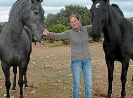¿Por qué se llama a la heroína caballo? ¿Por qué se llama a la heroína caballo?