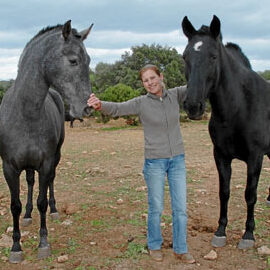 ¿Por qué se llama a la heroína caballo? ¿Por qué se llama a la heroína caballo?