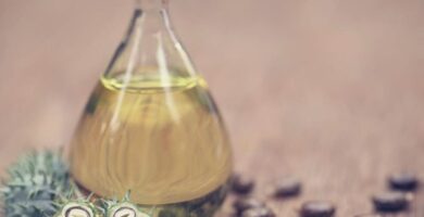 ¿Por qué se llama aceite de castor? ¿Por qué se llama aceite de castor?