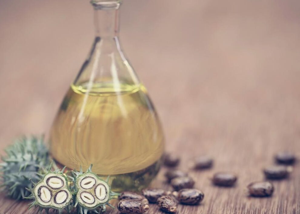 ¿Por qué se llama aceite de castor? ¿Por qué se llama aceite de castor?