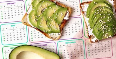 ¿Por qué se llama alimentación? ¿Por qué se llama alimentación?