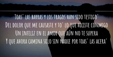 ¿Por qué se llama amorfoda? ¿Por qué se llama amorfoda?