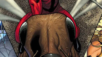¿Por qué se llama Ant-Man y la Avispa? ¿Por qué se llama Ant-Man y la Avispa?