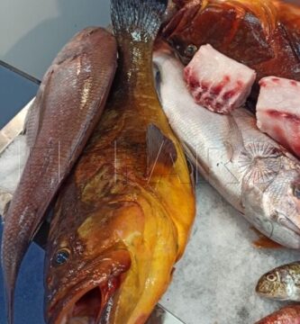 ¿Por qué se llama Antonito a un pescado?