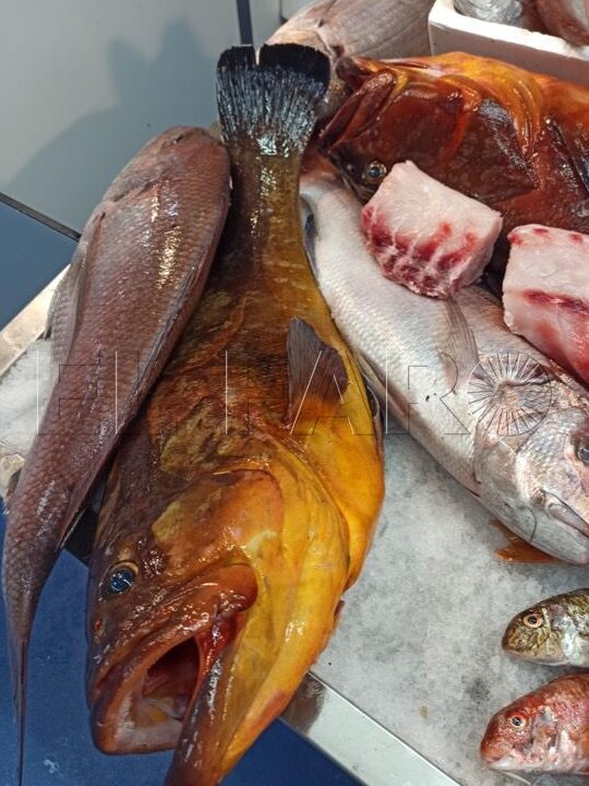 ¿Por qué se llama Antonito a un pescado? ¿Por qué se llama Antonito a un pescado?