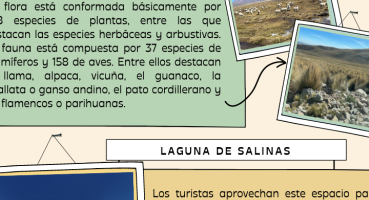 ¿Por qué se llama Arequipa? ¿Por qué se llama Arequipa?