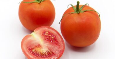 ¿Por qué se llama así el tomate? ¿Por qué se llama así el tomate?