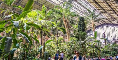 ¿Por qué se llama Atocha? ¿Por qué se llama Atocha?