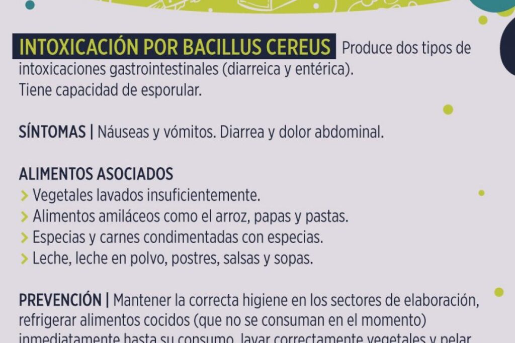 ¿Por qué se llama Bacillus cereus? ¿Por qué se llama Bacillus cereus?