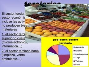 ¿Por qué se llama banal sector terciario?