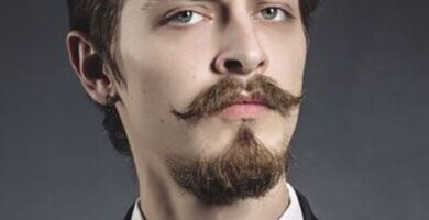 ¿Por qué se llama barba estilo Van Dyke? ¿Por qué se llama barba estilo Van Dyke?