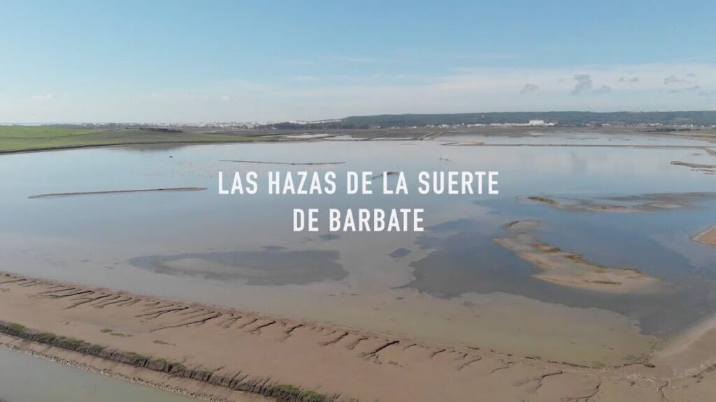 ¿Por qué se llama Barbate de Franco? ¿Por qué se llama Barbate de Franco?