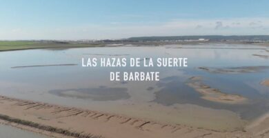 ¿Por qué se llama Barbate de Franco? ¿Por qué se llama Barbate de Franco?