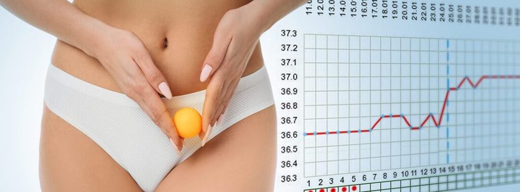 ¿Por qué se llama basal? ¿Por qué se llama basal?