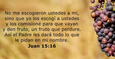 ¿Por qué se llama Biblia? ¿Por qué se llama Biblia?