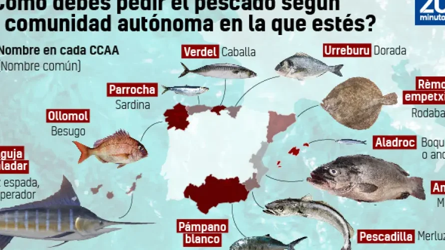 ¿Por qué se llama bonito el pez?