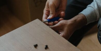 ¿Por qué se llama canapé?