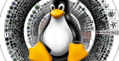 ¿Por qué se llama Debian? ¿Por qué se llama Debian?