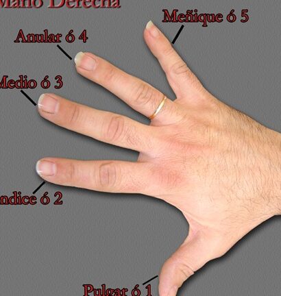 ¿Por qué se llama dedo anular? ¿Por qué se llama dedo anular?