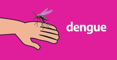 ¿Por qué se llama dengue?