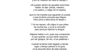¿Por qué se llama Divina Comedia? ¿Por qué se llama Divina Comedia?