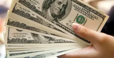 ¿Por qué se llama dólar? ¿Por qué se llama dólar?