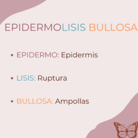 ¿Por qué se llama el efecto mariposa? ¿Por qué se llama el efecto mariposa?