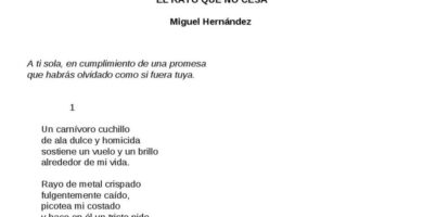 ¿Por qué se llama El rayo que no cesa?