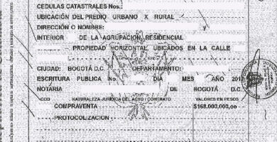¿Por qué se llama escritura pública?