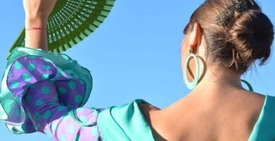 ¿Por qué se llama flamenca? ¿Por qué se llama flamenca?