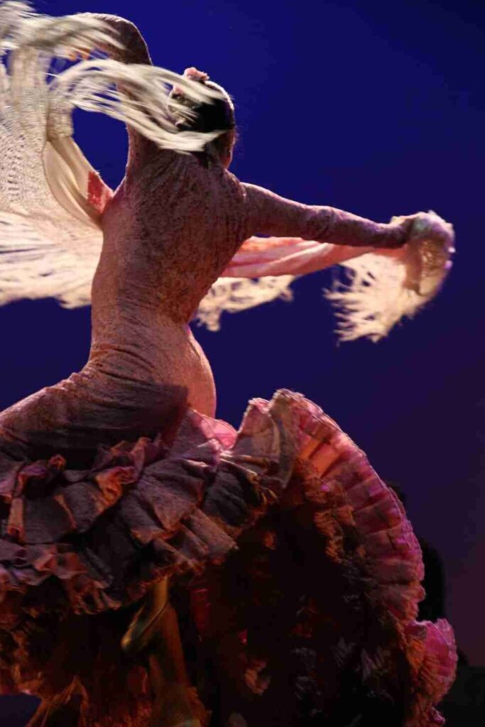 ¿Por qué se llama flamenco el baile? ¿Por qué se llama flamenco el baile?