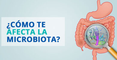¿Por qué se llama flora intestinal?