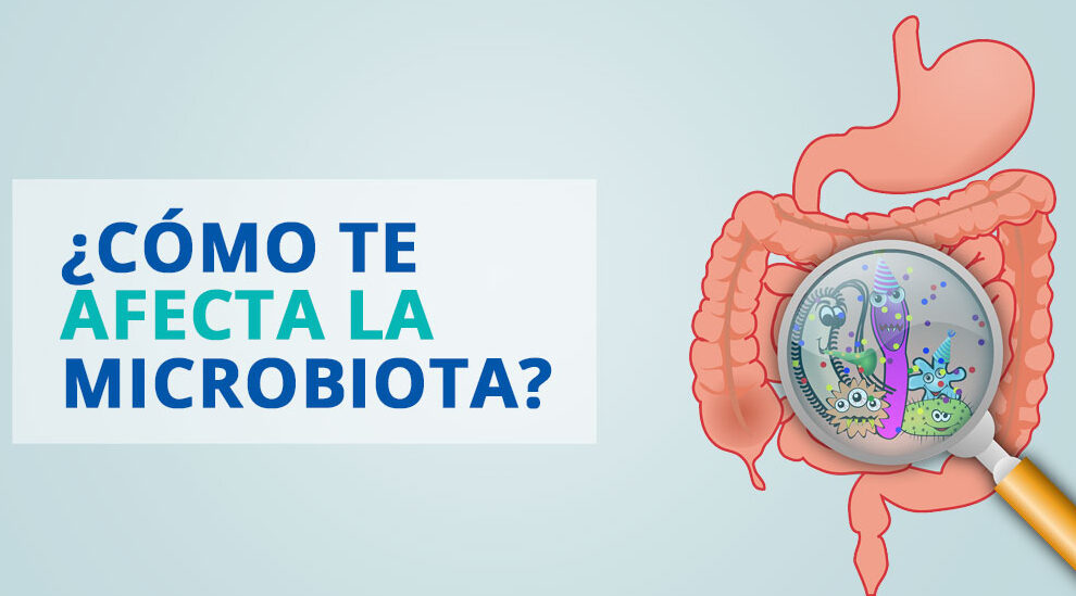 ¿Por qué se llama flora intestinal? ¿Por qué se llama flora intestinal?