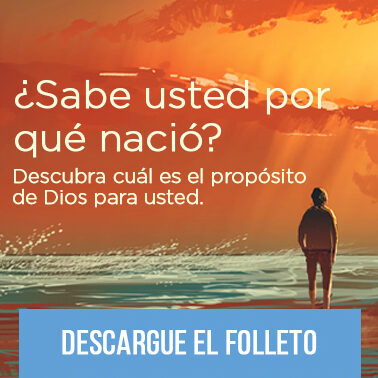 ¿Por qué se llama género? ¿Por qué se llama género?