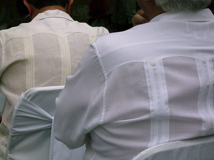 ¿Por qué se llama guayabera? ¿Por qué se llama guayabera?
