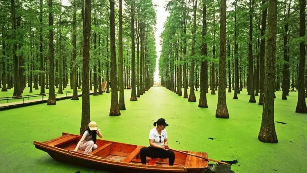 ¿Por qué se llama Lago Verde? ¿Por qué se llama Lago Verde?