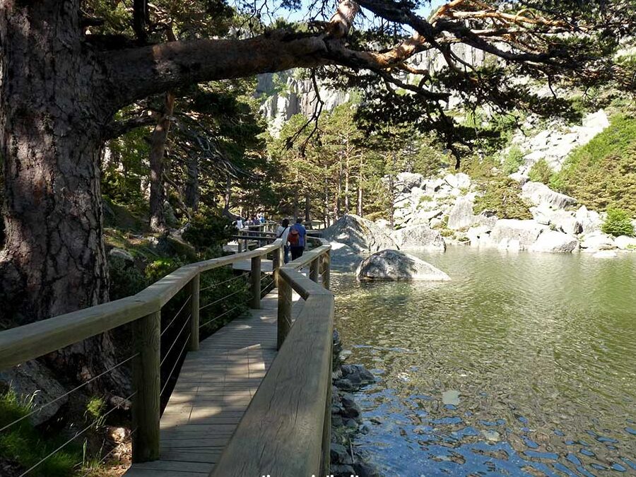 ¿Por qué se llama Laguna Negra? ¿Por qué se llama Laguna Negra?