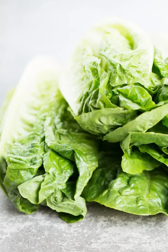¿Por qué se llama lechuga romana? ¿Por qué se llama lechuga romana?