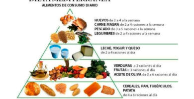 ¿Por qué se llama mediterránea la dieta? ¿Por qué se llama mediterránea la dieta?