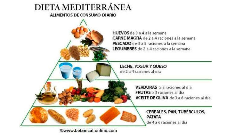 ¿Por qué se llama mediterránea la dieta? ¿Por qué se llama mediterránea la dieta?