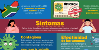 ¿Por qué se llama ómicron? ¿Por qué se llama ómicron?