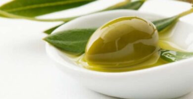 ¿Por qué se llaman aceitunas? ¿Por qué se llaman aceitunas?