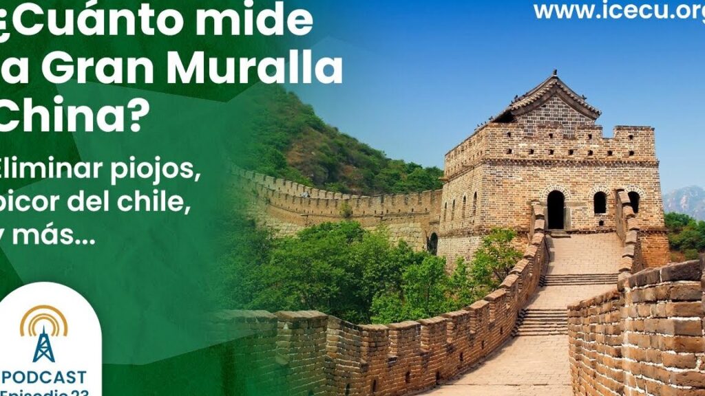 ¿Por qué se llaman alisios? ¿Por qué se llaman alisios?