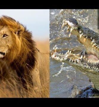 ¿Por qué se llaman animales de sangre fría y caliente?