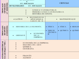 ¿Por qué se llaman áreas de asignaturas troncales? ¿Por qué se llaman áreas de asignaturas troncales?