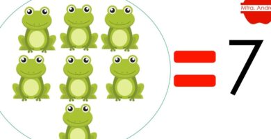 ¿Por qué se llaman colecciones figurales?