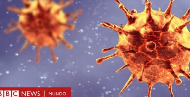 ¿Por qué se llama coronavirus? ¿Por qué se llama coronavirus?